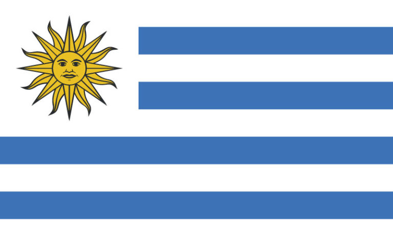 easyFly Uruguay Flag